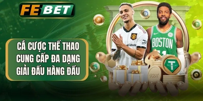 Cá cược thể thao cung cấp đa dạng các giải đấu hàng đầu
