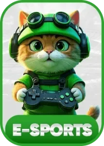 febet esport