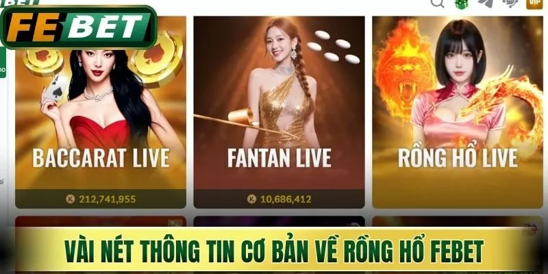 Vài nét thông tin cơ bản về rồng hổ Febet