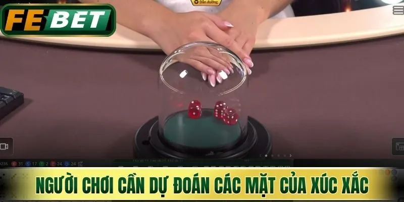 Người chơi cần dự đoán các mặt của xúc xắc