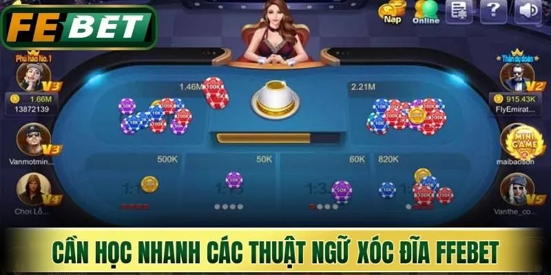 Cần học nhanh các thuật ngữ xóc đĩa Febet